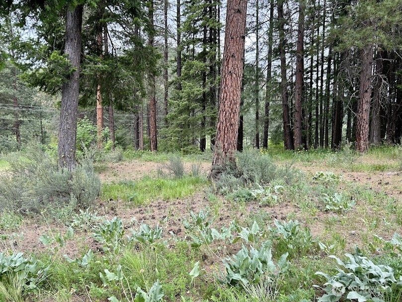15425 Chumstick Highway Leavenworth WA 98826