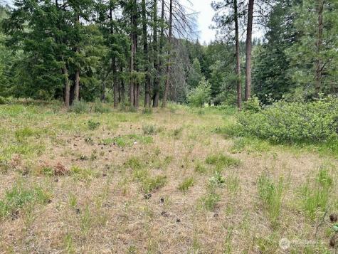 15425 Chumstick Highway Leavenworth WA 98826