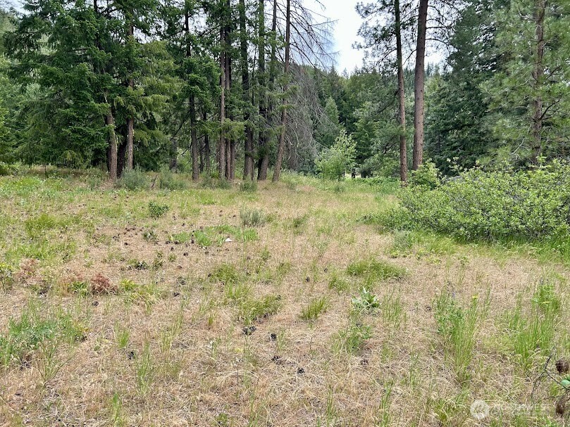 15425 Chumstick Highway Leavenworth WA 98826