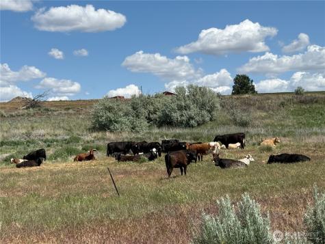 8708 Road K Road NE Moses Lake WA 98837