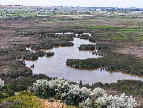 8708 Road K Road NE Moses Lake WA 98837