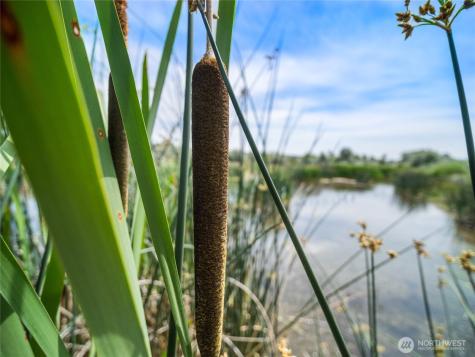 8708 Road K Road NE Moses Lake WA 98837