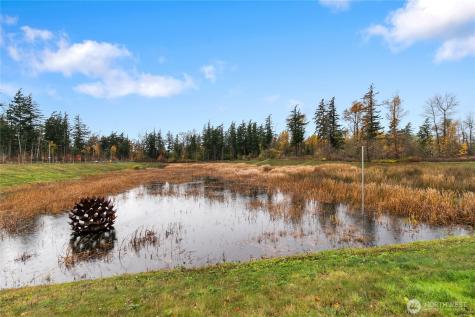 4241 Ambrosia Lane Bellingham WA 98226