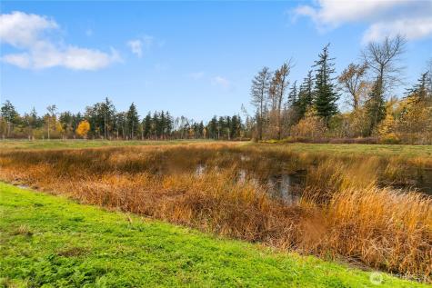 4241 Ambrosia Lane Bellingham WA 98226