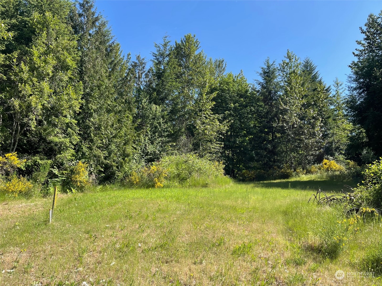 9320 152nd Street E Puyallup WA 98375