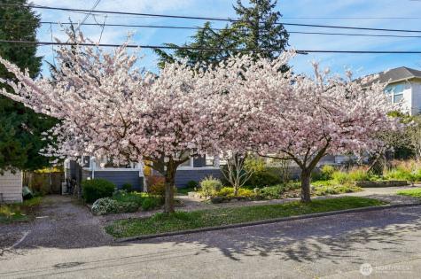 4015 Ashworth Avenue N Seattle WA 98103