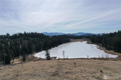 17 Teal Lake Road N Oroville WA 98844