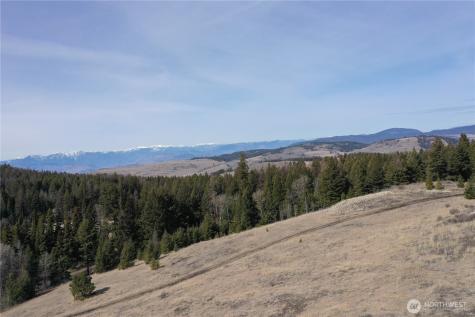17 Teal Lake Road N Oroville WA 98844