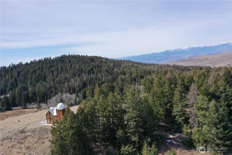17 Teal Lake Road N Oroville WA 98844