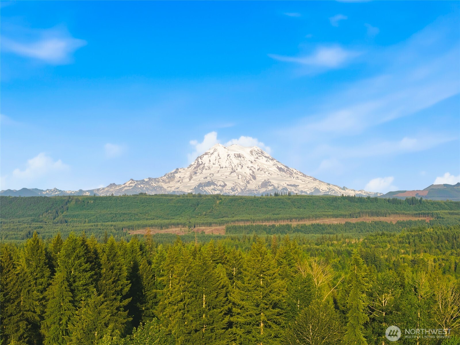 12817 Kapowsin Highlands Drive E Graham WA 98338
