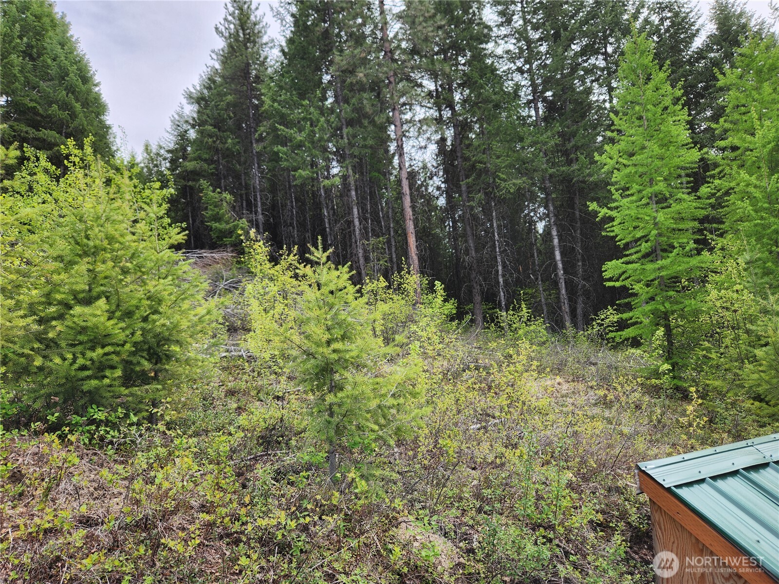 15 Wild Turkey Road Republic WA 99166