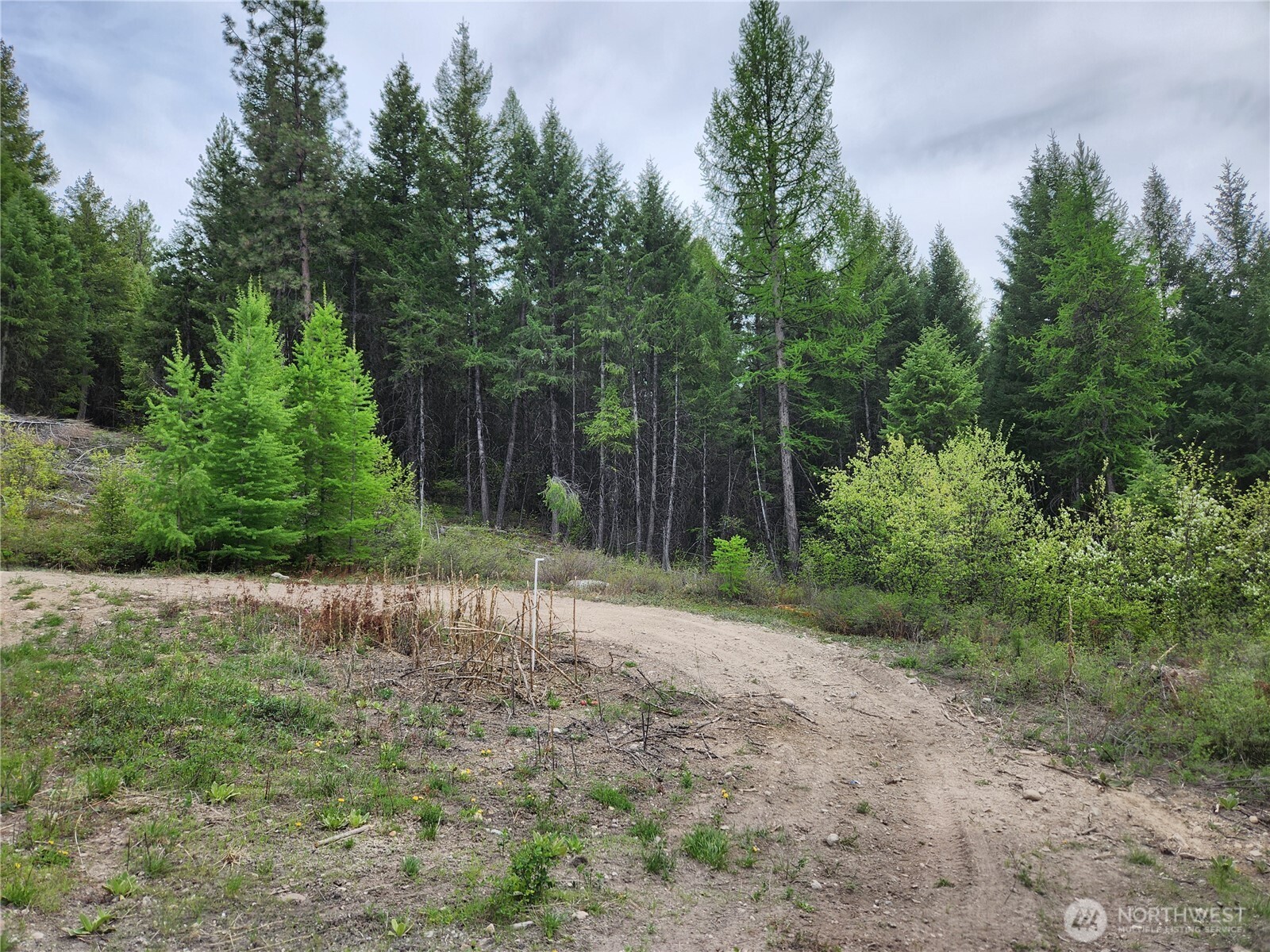 15 Wild Turkey Road Republic WA 99166