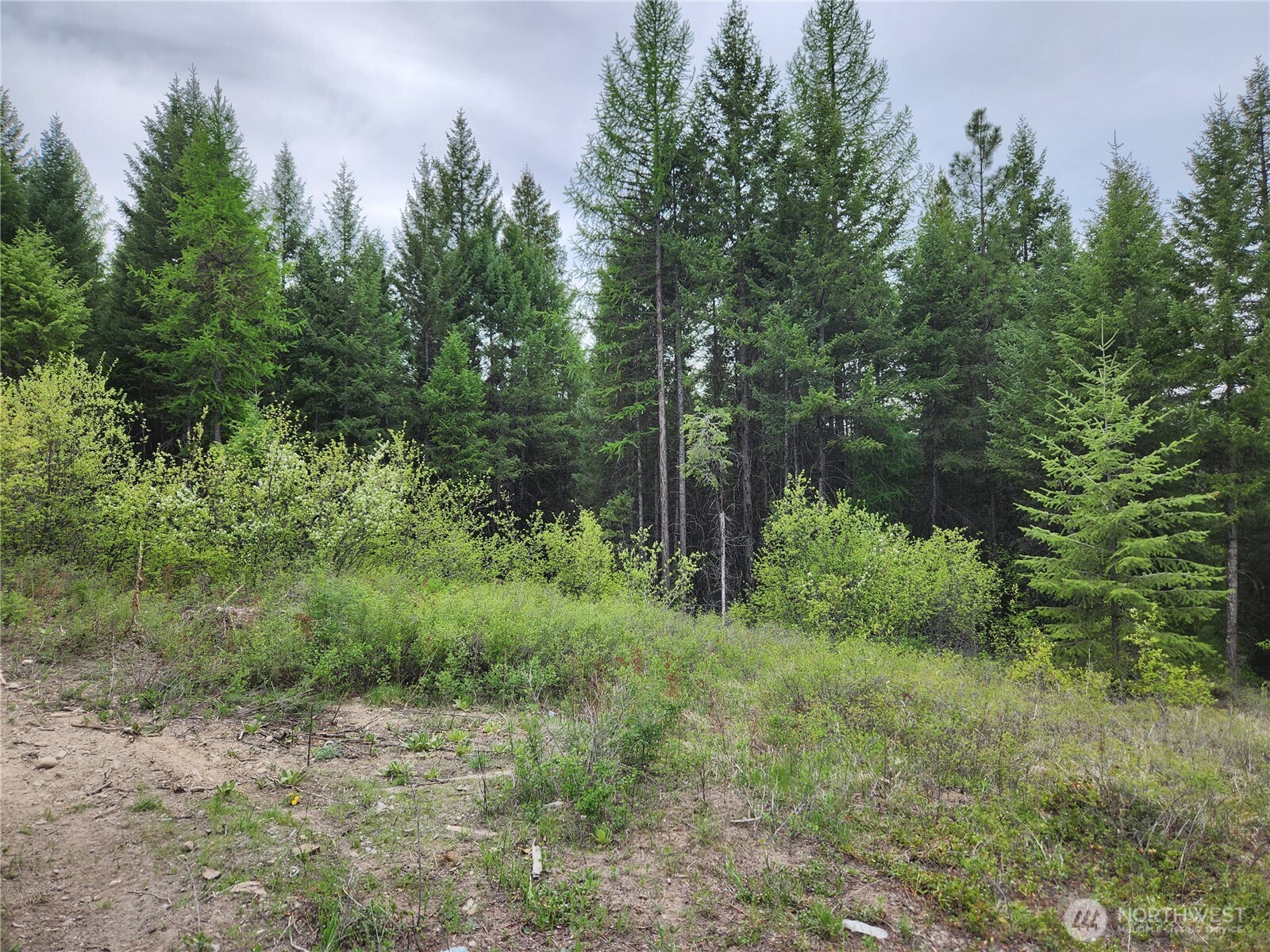 15 Wild Turkey Road Republic WA 99166