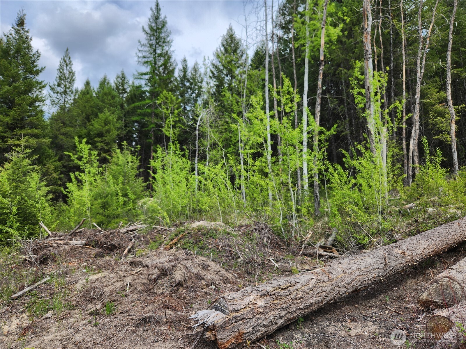 15 Wild Turkey Road Republic WA 99166