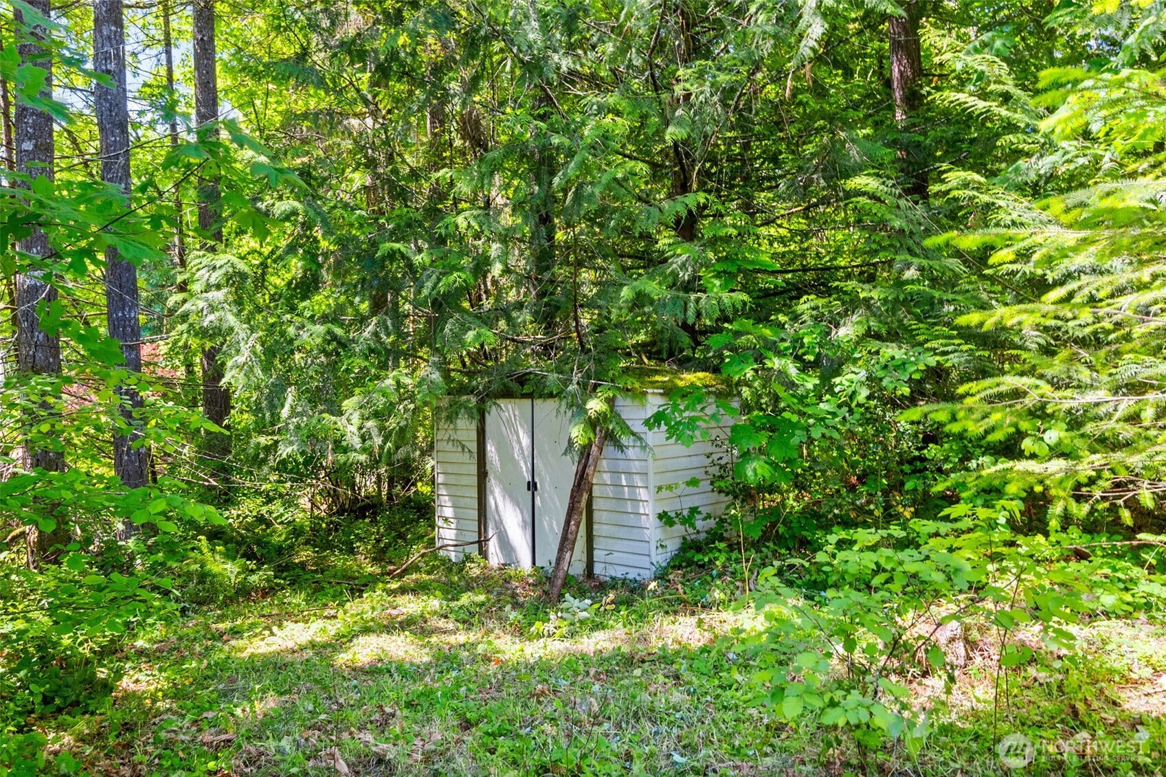 8023 Box Elder Drive SW Olympia WA 98512
