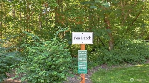 24238 SE 43rd Court Sammamish WA 98029