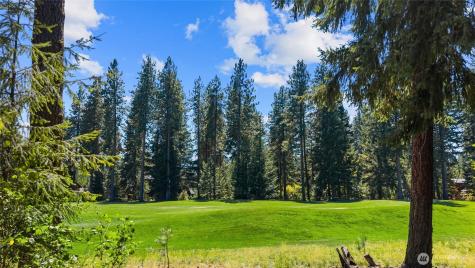 110 Larkspur Loop Cle Elum WA 98922