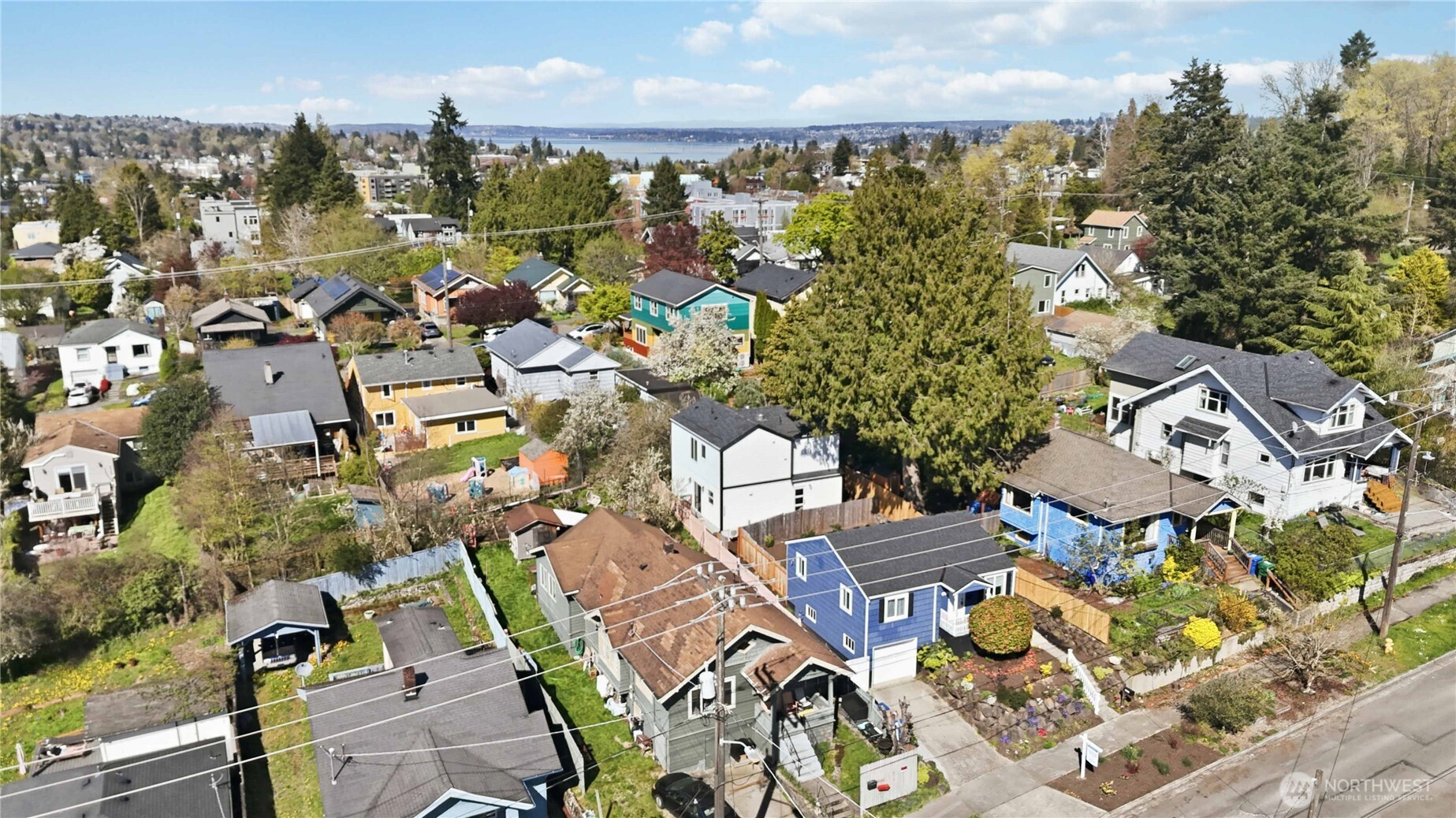 3536 S Brandon Street Seattle WA 98118