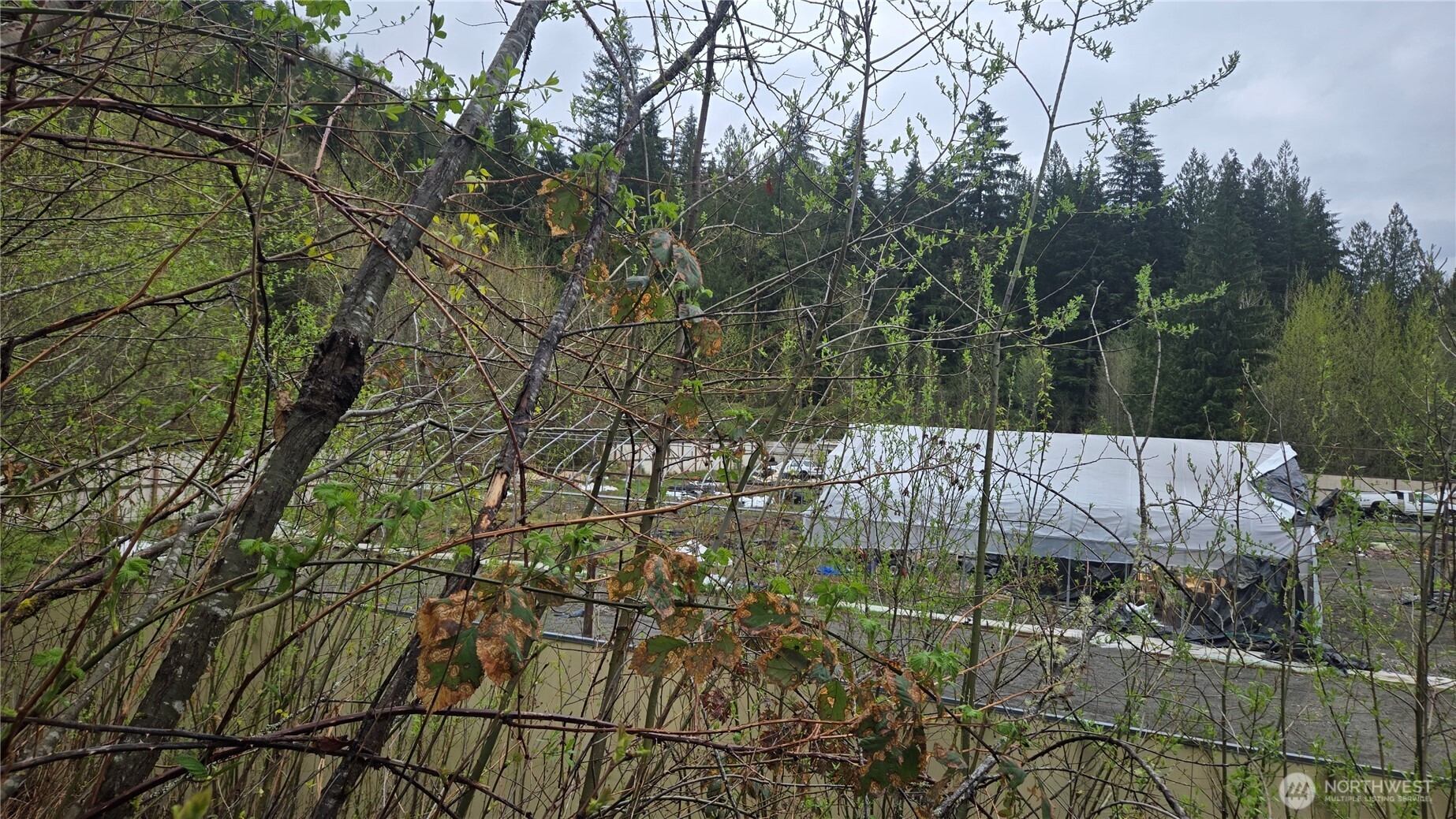 5898 Mt Baker Highway Deming WA 98244