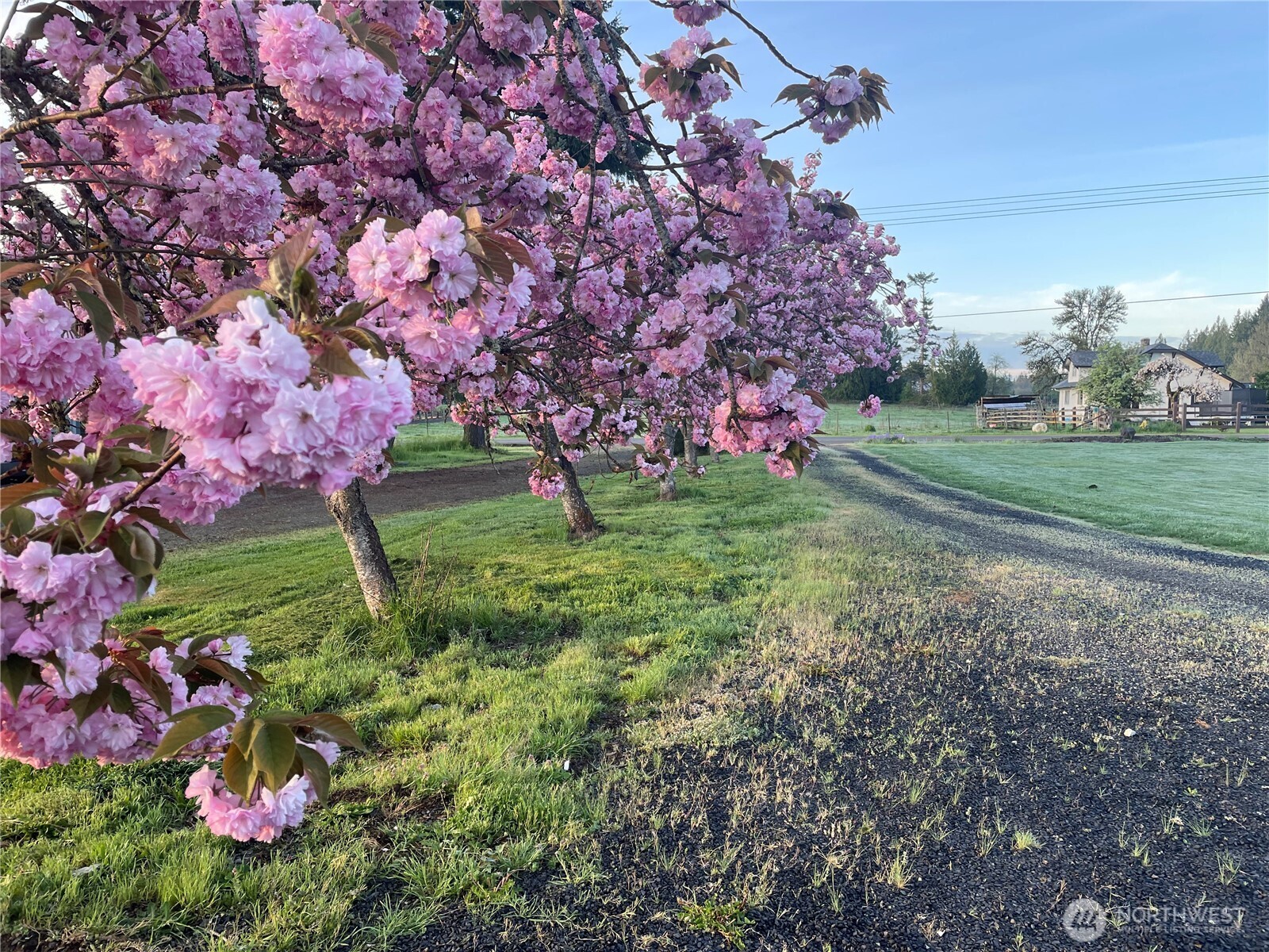 862 King Road Winlock WA 98596