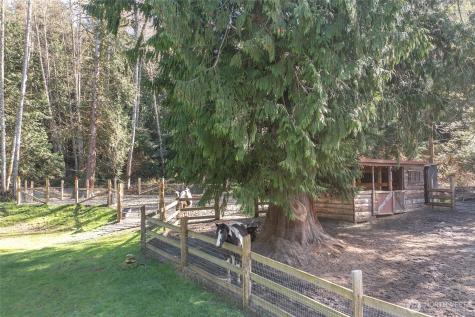 653 Cedar Hill Road Orcas Island WA 98245