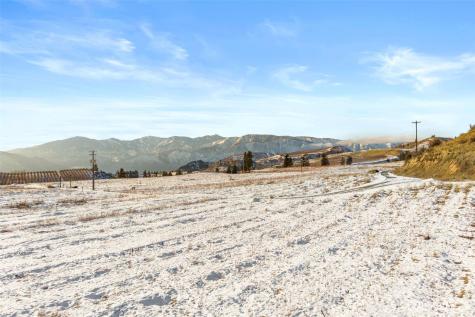 762 Boyd Loop Road Manson WA 98831