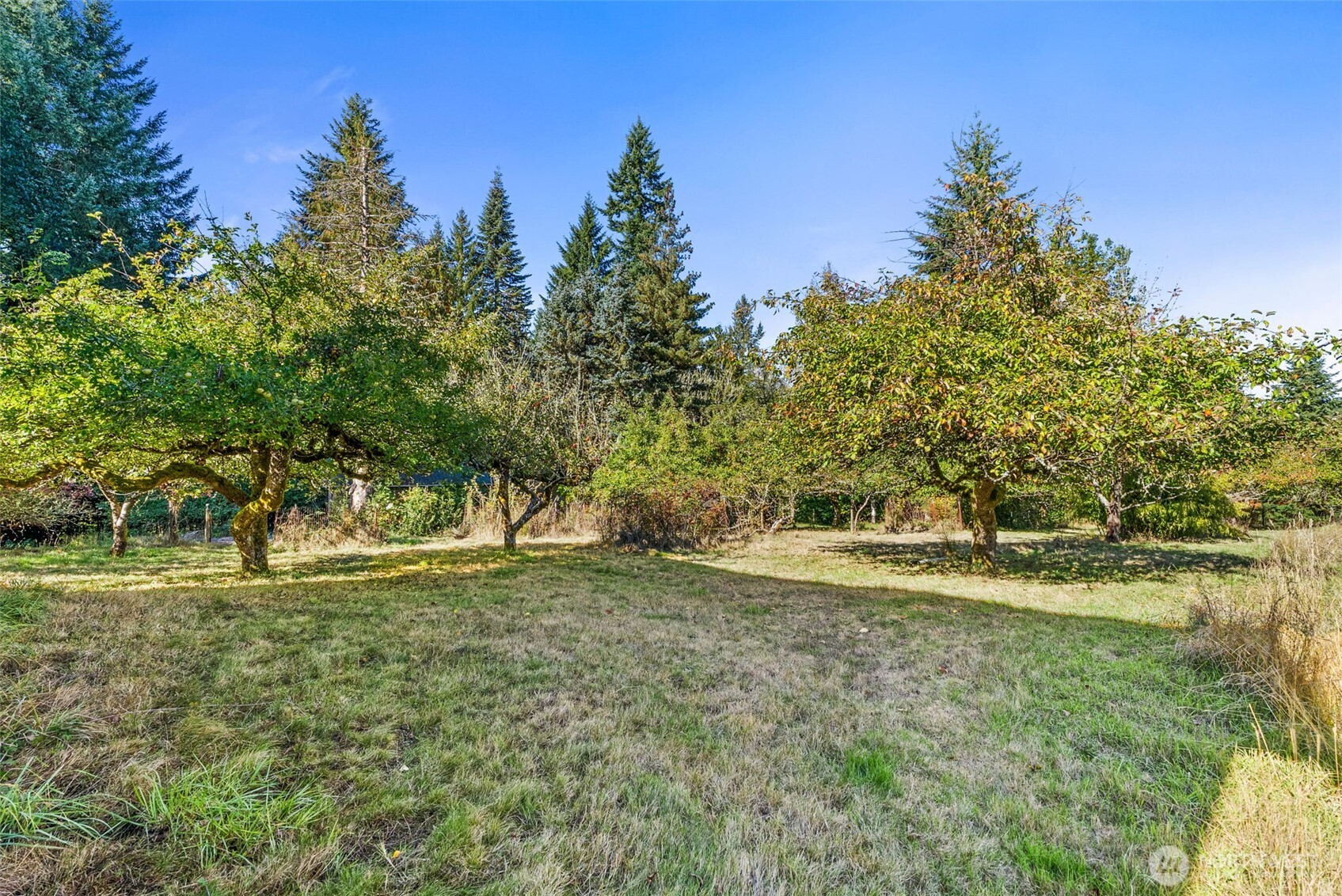 299 Conrad Road Winlock WA 98596