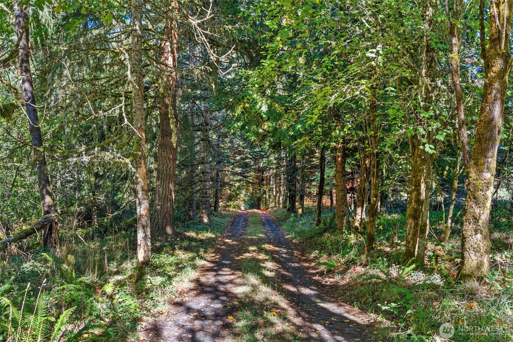 299 Conrad Road Winlock WA 98596