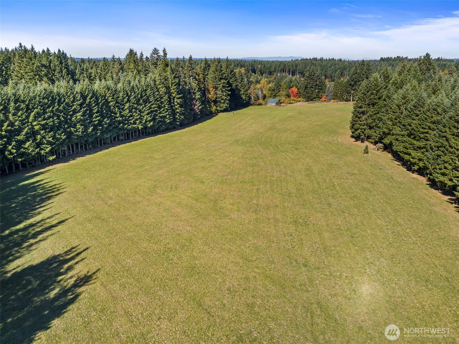 299 Conrad Road Winlock WA 98596
