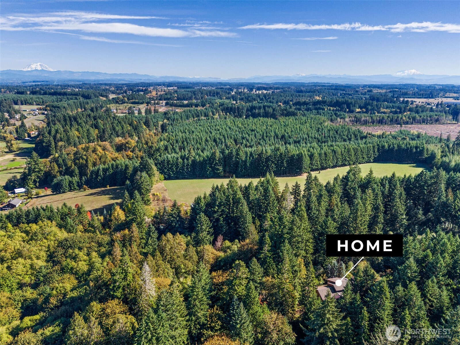 299 Conrad Road Winlock WA 98596
