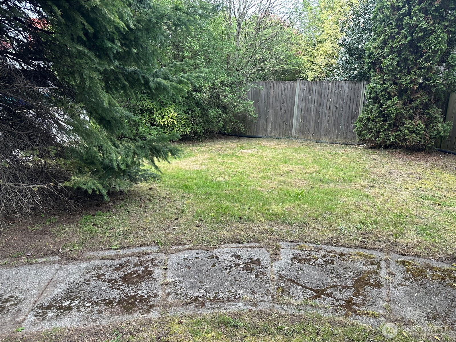 7818 NE Lake City Way NE Seattle WA 98115