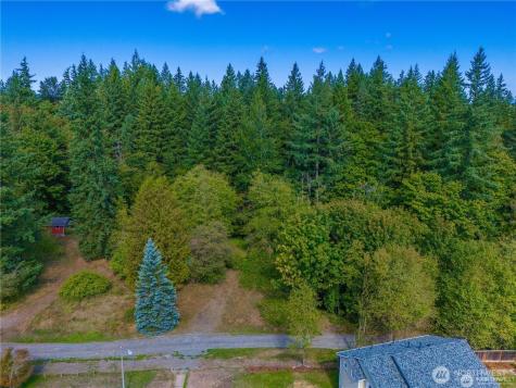 25010 SE 17th Street Sammamish WA 98075