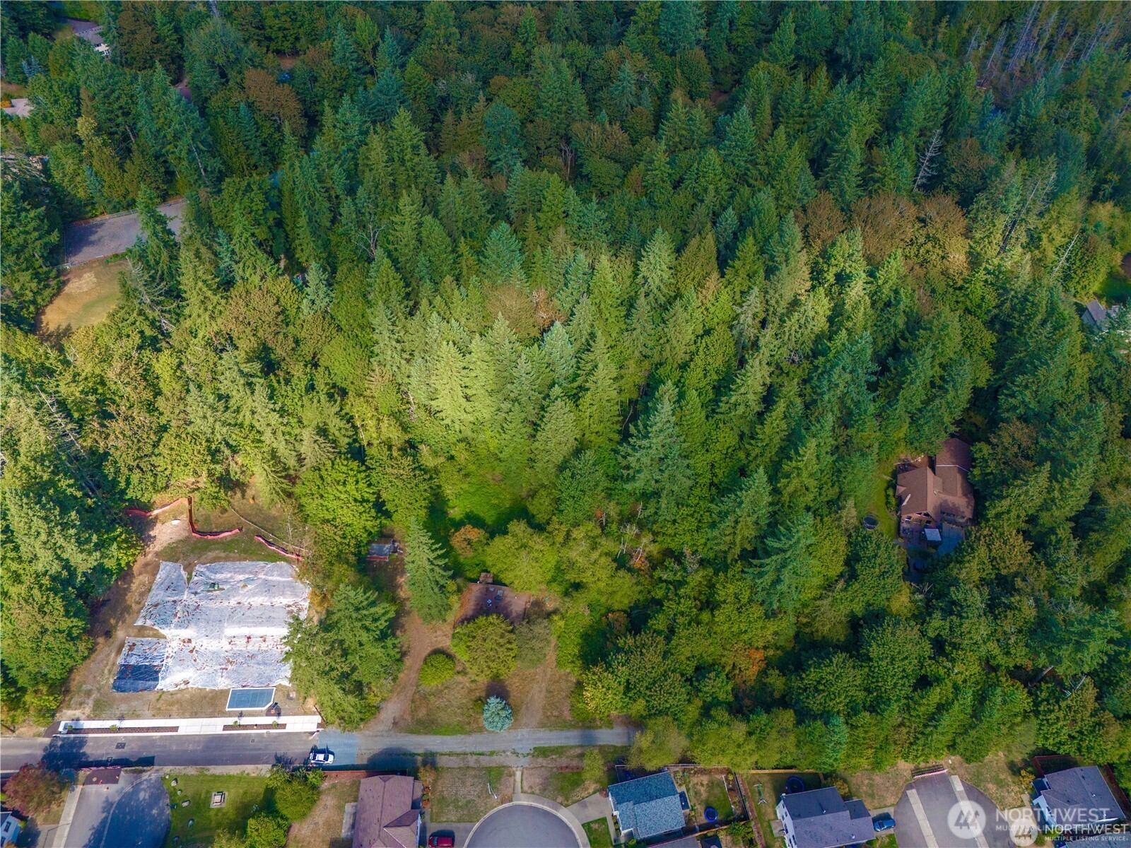 25010 SE 17th Street Sammamish WA 98075