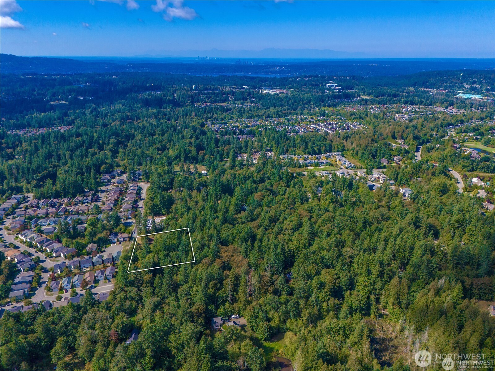 25010 SE 17th Street Sammamish WA 98075