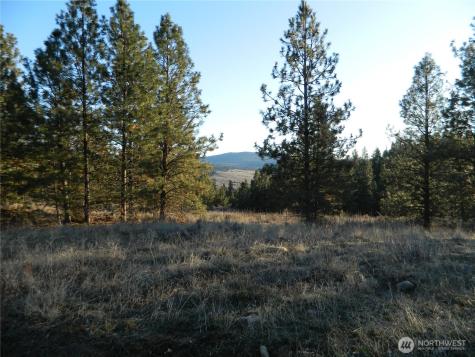 198 Antwyne Lane Tonasket WA 98855