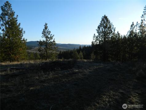 198 Antwyne Lane Tonasket WA 98855