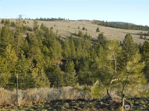 198 Antwyne Lane Tonasket WA 98855