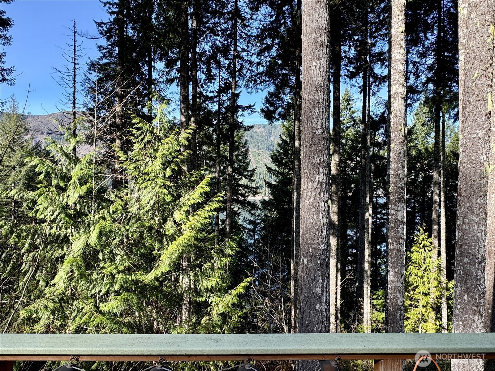 70 N Rim View Place Hoodsport WA 98548