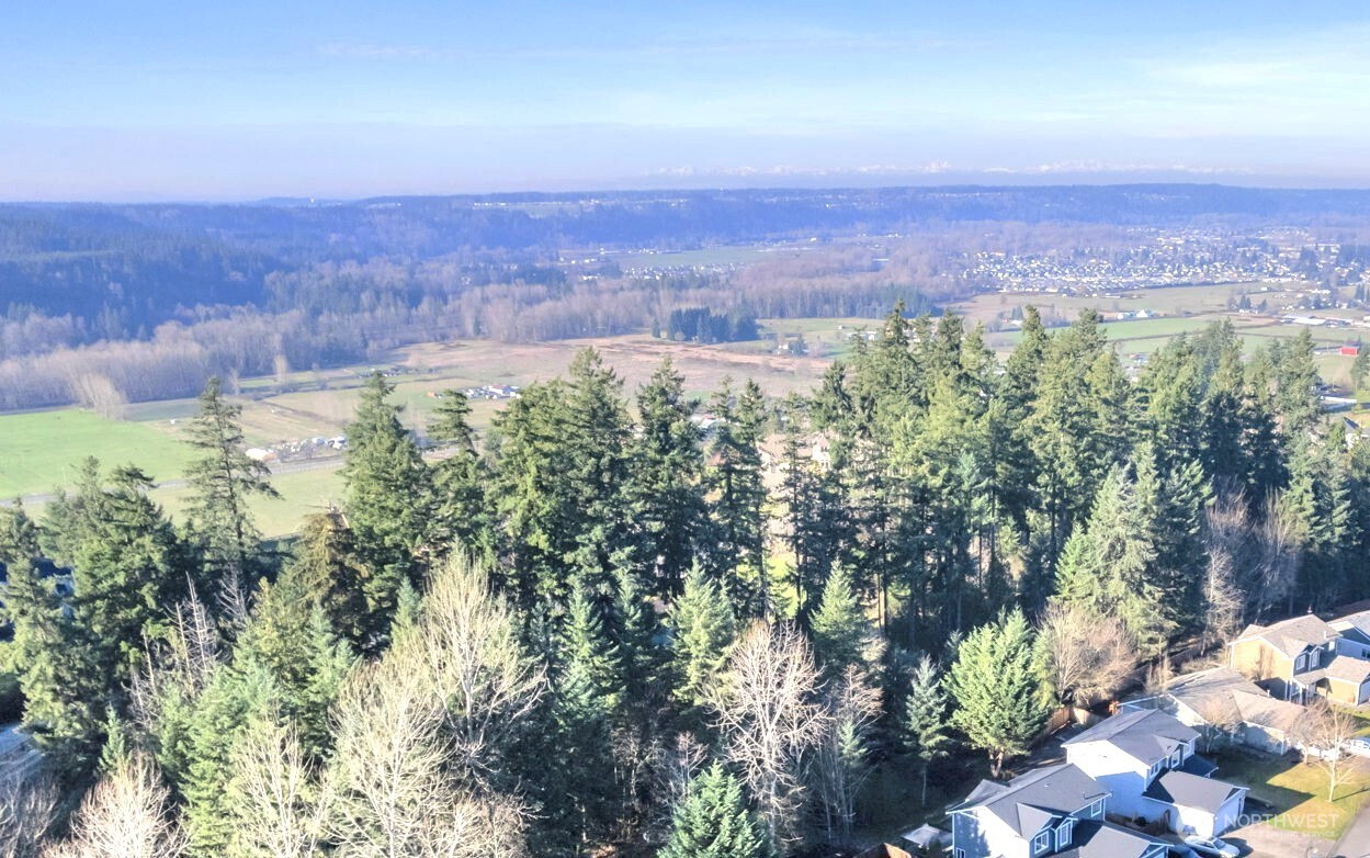 20702 190th Avenue E Orting WA 98360