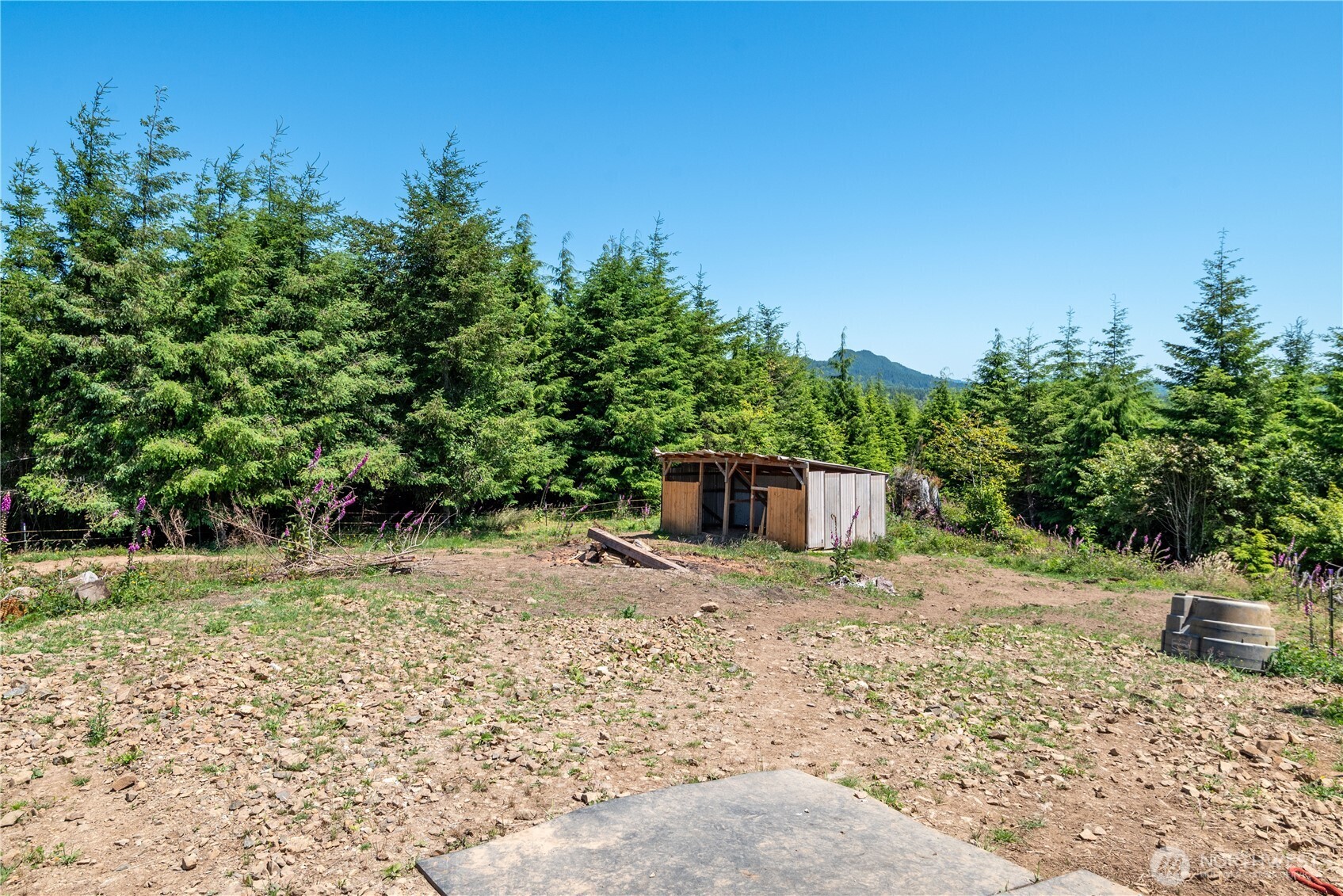 327 Parpala Road Naselle WA 98638