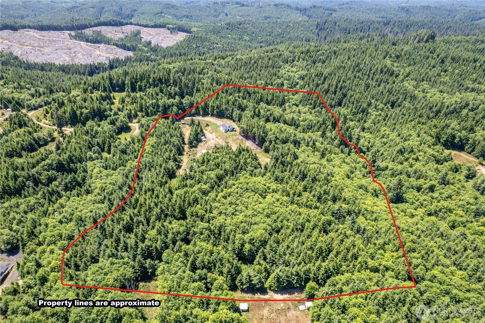 327 Parpala Road Naselle WA 98638