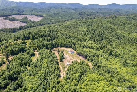 327 Parpala Road Naselle WA 98638