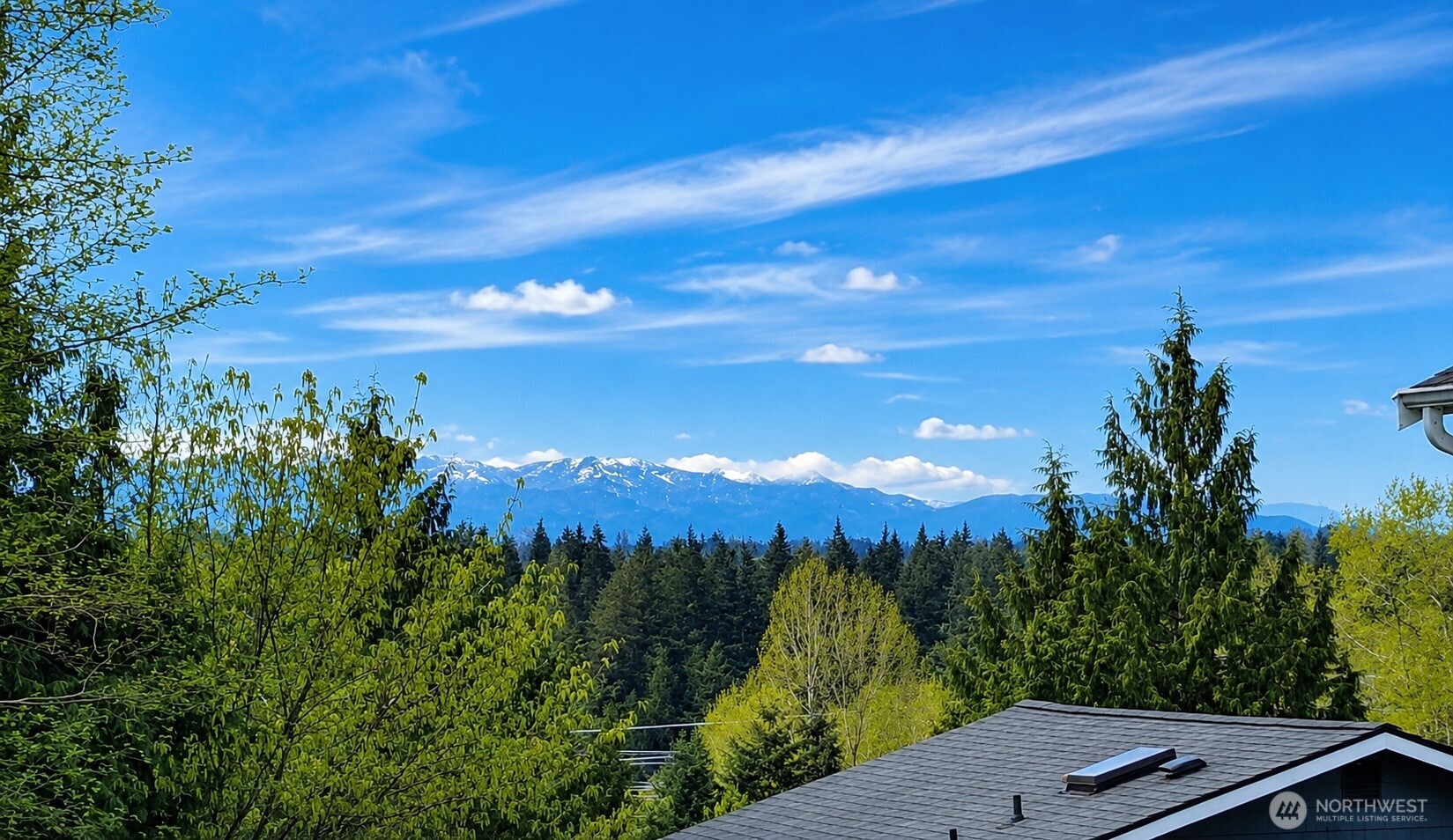 904 214th Place SW Lynnwood WA 98036
