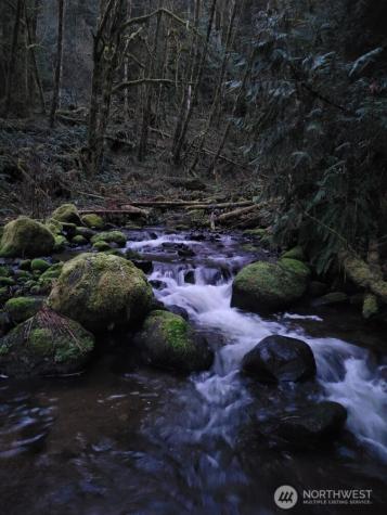 296 Dodge Road Morton WA 98356