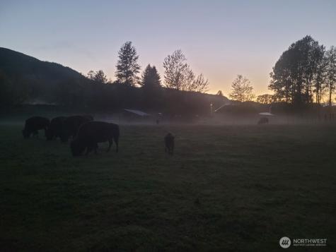 296 Dodge Road Morton WA 98356