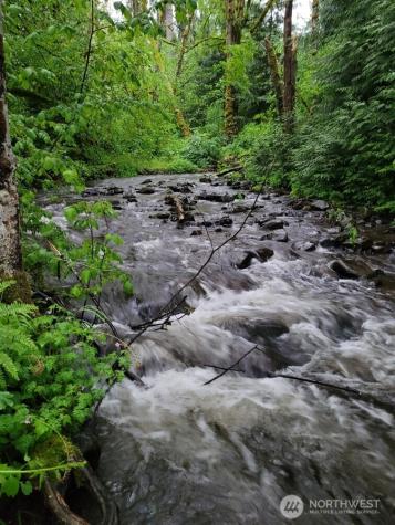 296 Dodge Road Morton WA 98356