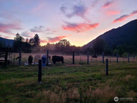 296 Dodge Road Morton WA 98356