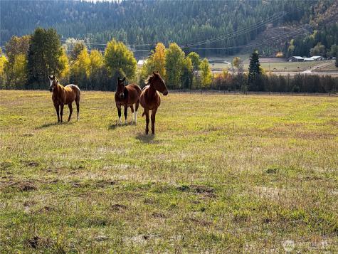 320871 Highway 2 Newport WA 99156