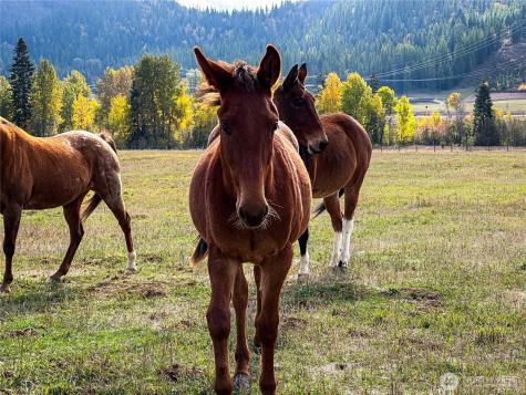 320871 Highway 2 Newport WA 99156