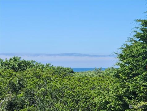 381 Ocean Shores Boulevard NW Ocean Shores WA 98569